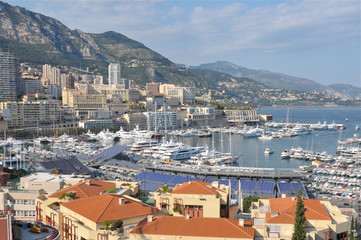 Monaco Harbour with many yachts.