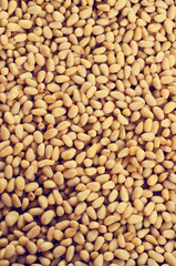 Pine nuts