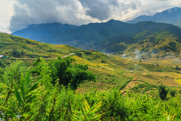 Fototapeta na wymiar Rice terraces