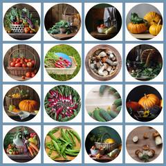 Collage from still lifes with vegetables and mushrooms.