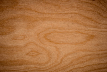 Fototapeta premium background of Birch wood surface