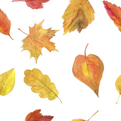 seamless pattern with autumn leaves in watercolor