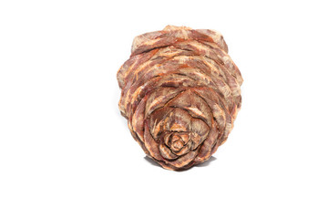 cedar cone isolated