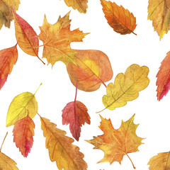 seamless pattern with autumn leaves in watercolor