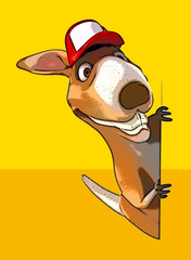 Fun kangaroo © Julien Tromeur