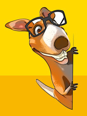 Fun kangaroo © Julien Tromeur