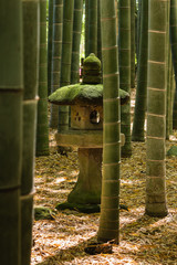 stone lantern in bamboo forest