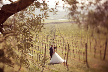 Bride and groom in a vineyard