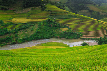 Fototapeta na wymiar Rice terraces Valley Vietnam