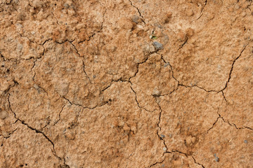 Clay
