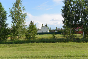 rural landscape with a house and trees