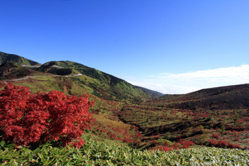 山田峠の紅葉