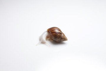 object