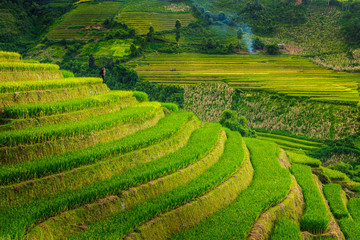 Rice terraces Valley Vietnam