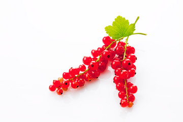 Rote Johannisbeeren