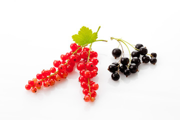 Rote Johannisbeere und Schwarze Johannisbeere