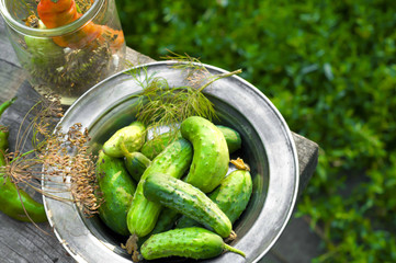 Cucumber pickled
