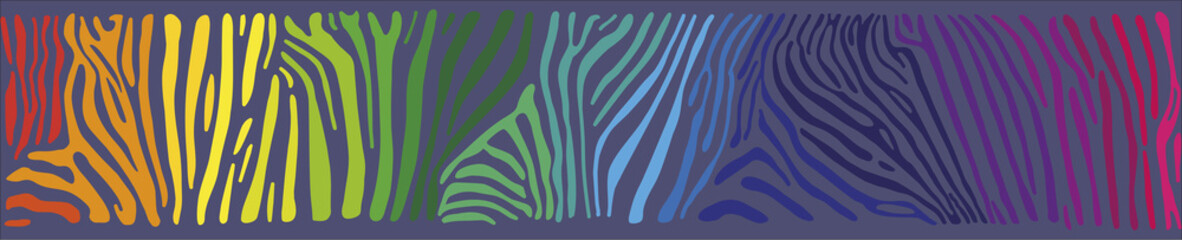 Background with multicolored Zebra skin 