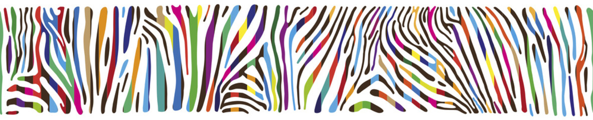 Fototapeta Background with multicolored Zebra skin  obraz