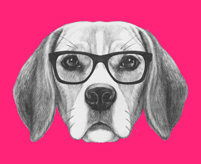 Portrait of Beagle Dog with glasses. Hand drawn illustration.
