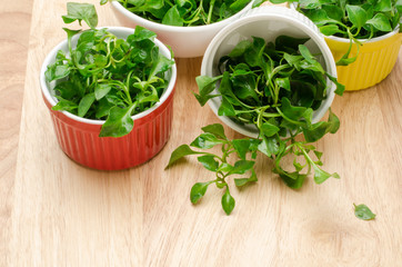 Fresh watercress in the colorful bowl on wooden background,healthy food