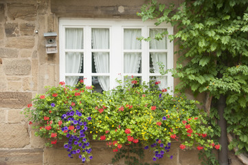 Fenster mit Blumenkasten