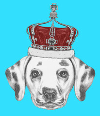 Portrait of Dalmatian Dog with crown. Hand drawn illustration.