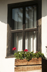 Fototapeta na wymiar Wooden window of old white country-house facade with flowerpots