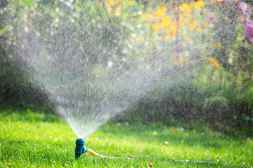 Sprinkler watering lawn in garden