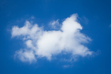 the blue sky