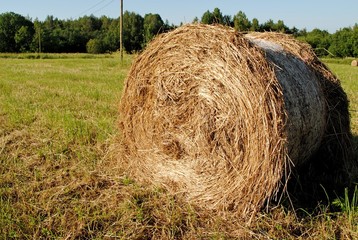 Hayrick in a field