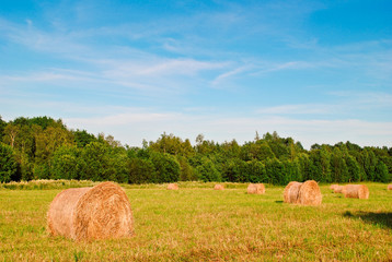 Haystacks in a field