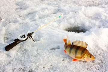 Fotobehang Winter fishing © Mark_VB
