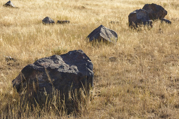 Big stones on the field