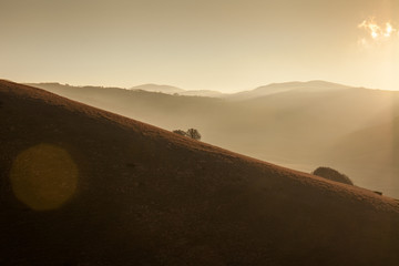 Profilo montagna al tramonto, con albero in silhouette - obrazy, fototapety, plakaty