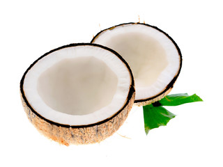 Coconuts on a white background