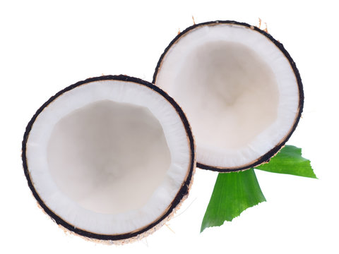 Coconuts on a white background