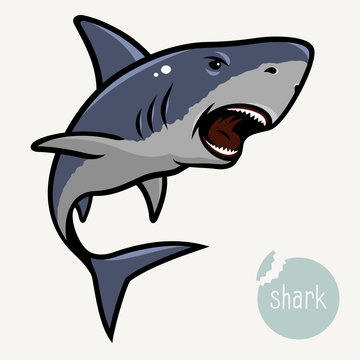 Shark 001