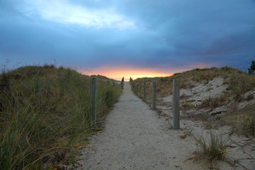 Wanderpfad in der Natur