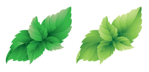 Mint leafs