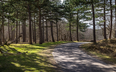 Obraz premium Typical Dutch nature