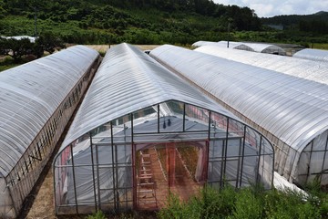 農業用ビニールハウス／山形県の庄内地方で、色々な農業用ビニールハウスの風景を撮影した写真です。