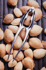 Various nuts selection