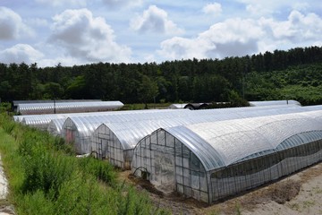 農業用ビニールハウス／山形県の庄内地方で、色々な農業用ビニールハウスの風景を撮影した写真です。