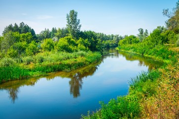 Sunny day on a calm river in summer