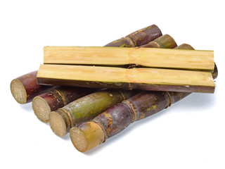 Sugar cane isolated on white background