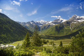 Fototapeta na wymiar Summer in Austria, Alps