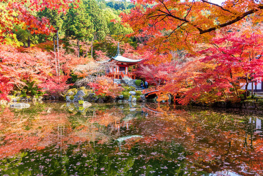 Autumn at daigoji temple