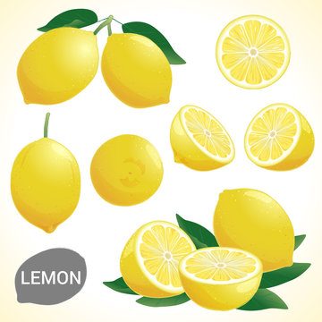 Set of fresh yellow lemon fruit in various styles vector format