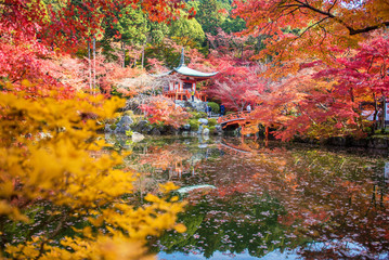 Obraz na płótnie Canvas Autumn at daigoji temple